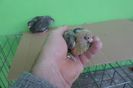 SAM_9500