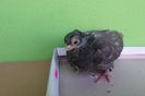SAM_9552