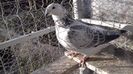 20171231_085129(0)