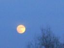 Luna Plina - in Rac (Full Wolf Moon)
