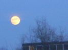 Luna Plina - in Rac (Full Wolf Moon)