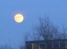 Luna Plina - in Rac (Full Wolf Moon)