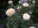 IMGP1346