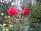 IMGP1394