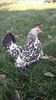 received_2083877751841645