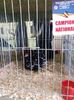 IMG-20171209-WA0018
