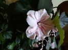 20180107_140401[1]