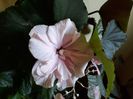20180107_140411[1]
