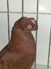 20161231_094851 - Copy - Copy - Copy
