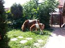 20170916_120054 - Copy