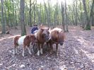 20171014_154911 - Copy