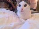 IMG-20171206-WA0002