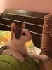 IMG-20171215-WA0000