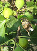 Picture 8430