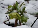 Am îngheţat...Brrr!