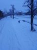 20180122_074459[1]