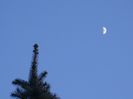 Luna in crestere in Taur