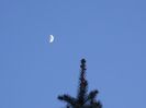 Luna in crestere in Taur