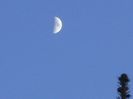 Luna in crestere in Taur