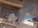 CAM_1286