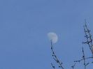 Luna in crestere in Gemeni