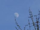 Luna in crestere in Gemeni