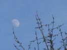 Luna in crestere in Gemeni