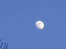 Luna in crestere in Gemeni