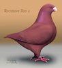 AGH_Rec-Red-2 (2)