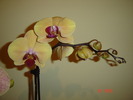 DSC04617