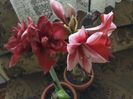 20180129_163930[1]
