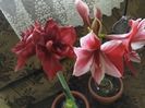 20180129_163953[1]