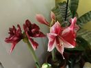 20180130_072132[1]