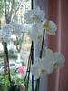 DSC09064
