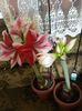 20180131_064844[1]