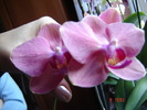 Picture 129