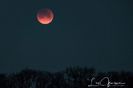 Super Blue Blood Moon Eclipse