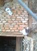 Picture 044