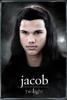 Maxi-Posters-Twilight--Jacob--331879