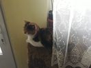 20180204_145245[1]