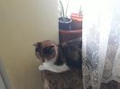 20180204_145251[1]