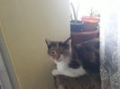 20180204_145255[1]