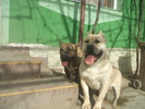 DSCF2476