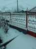 20180209_075033[1]