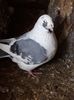 IMG-20180208-WA0007