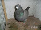 SAM_9527