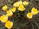 7 februarie 2018