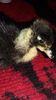 received_1401429303248063