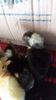 received_1401429059914754