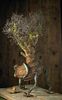 Mark Follon - Tylecodon reticulatus